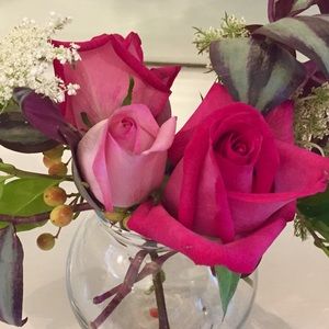 Meet your Posher, Carly